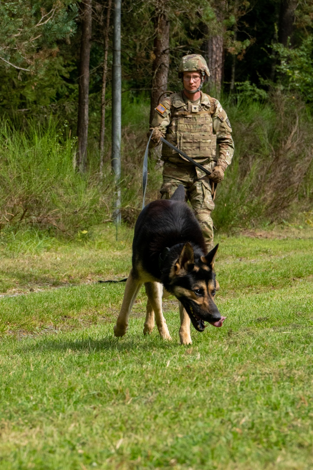 Combined Military Working Dog Detachment - Europe Certifications