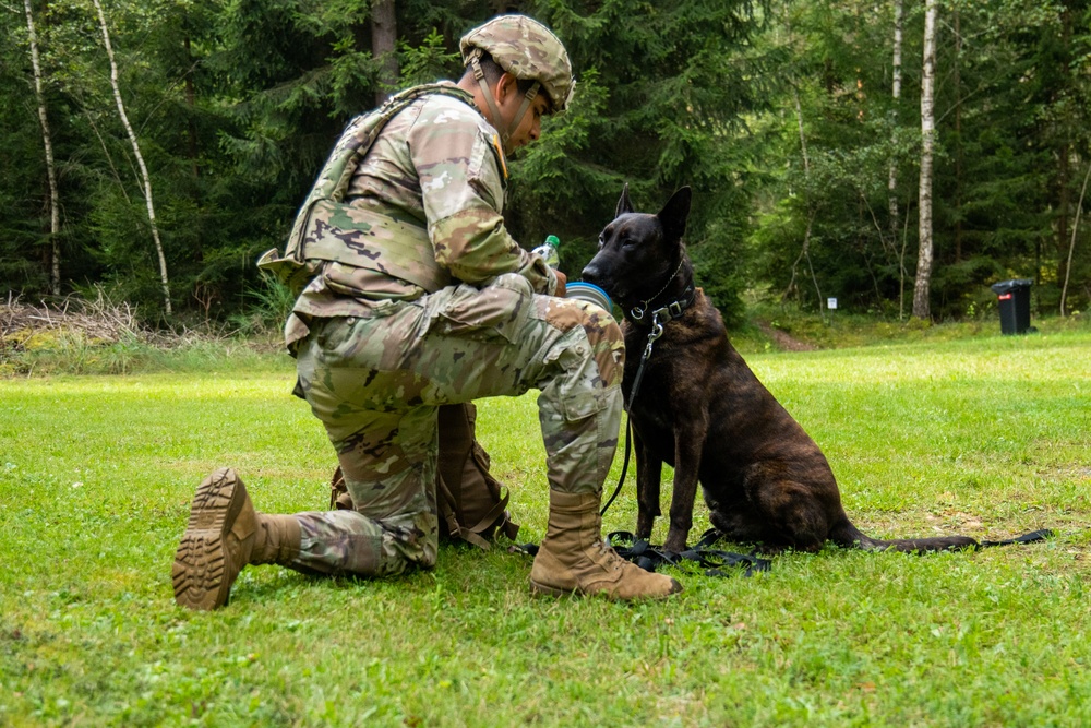 Combined Military Working Dog Detachment - Europe Certifications
