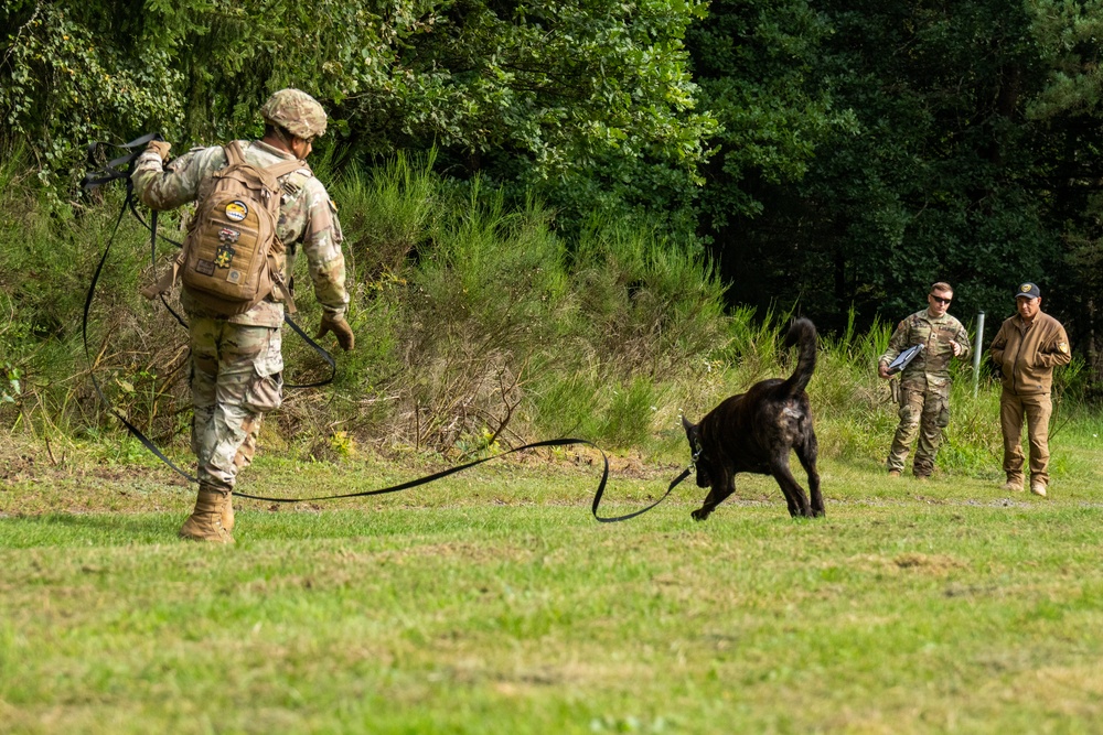 Combined Military Working Dog Detachment - Europe Certifications