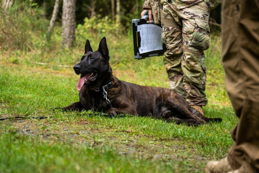 Combined Military Working Dog Detachment - Europe Certifications