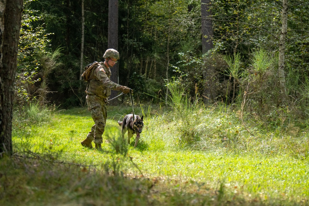 Combined Military Working Dog Detachment - Europe Certifications