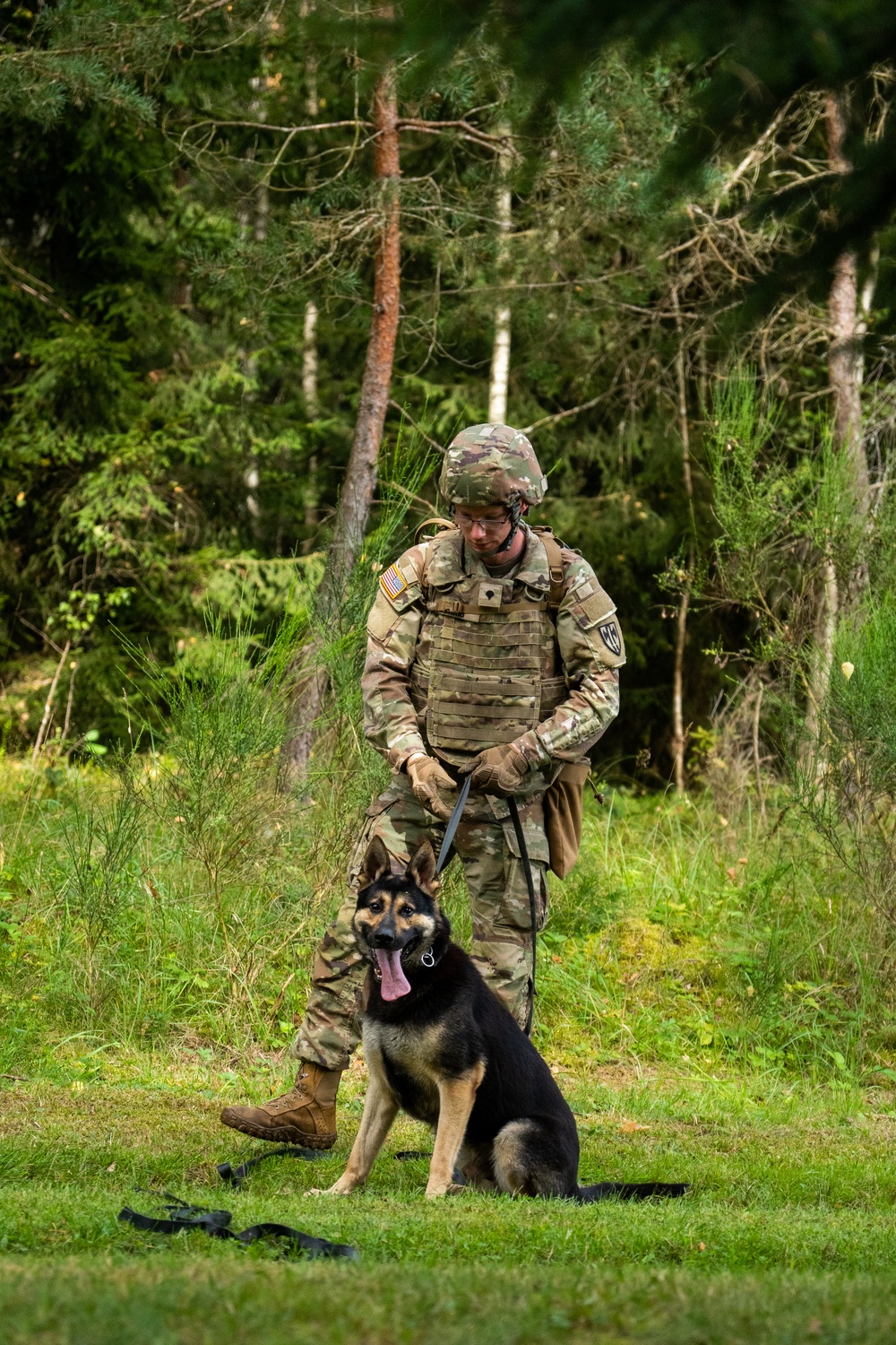 Combined Military Working Dog Detachment - Europe Certifications