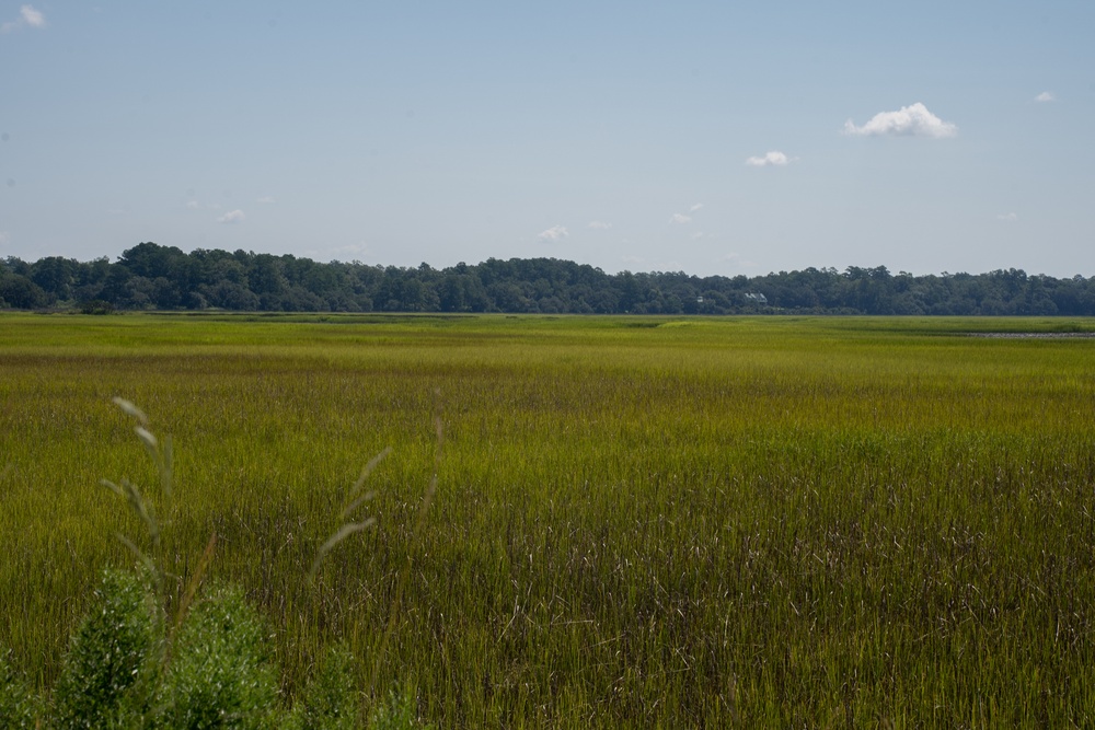 MCAS Beaufort protects Gregorie Neck land