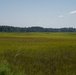 MCAS Beaufort protects Gregorie Neck land