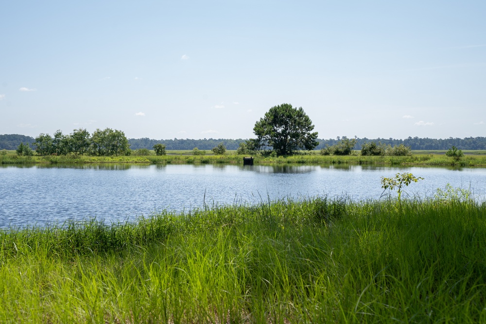 MCAS Beaufort protects Gregorie Neck land