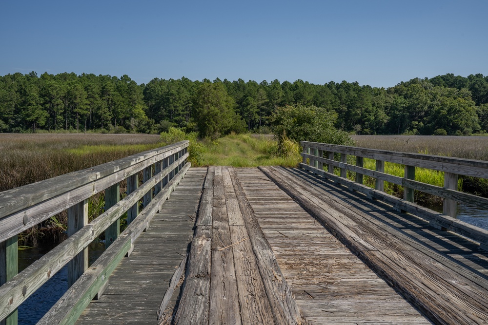 MCAS Beaufort protects Gregorie Neck land