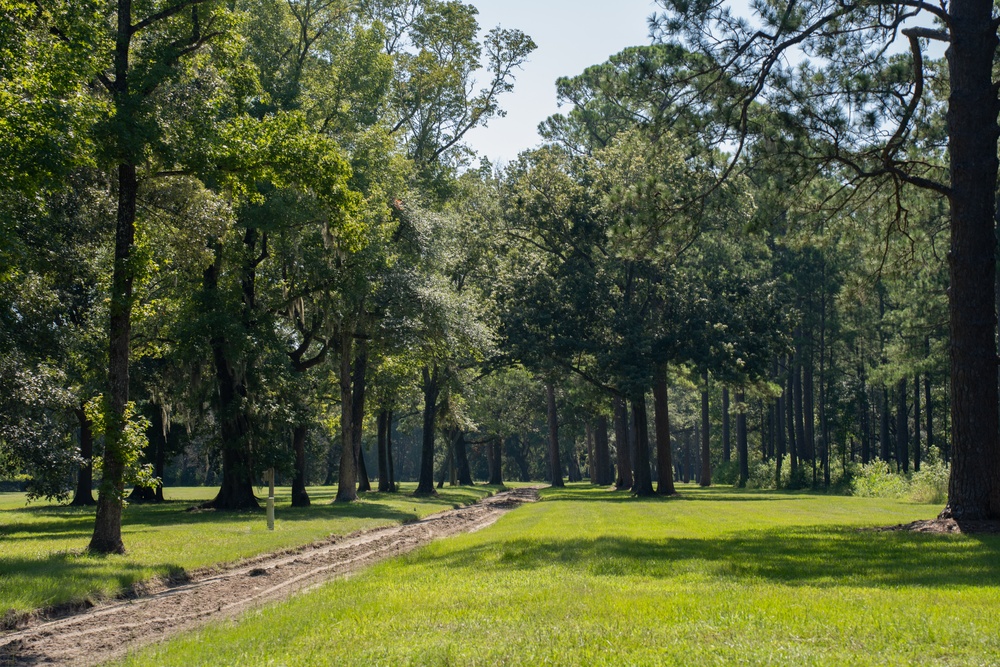 MCAS Beaufort protects Gregorie Neck land