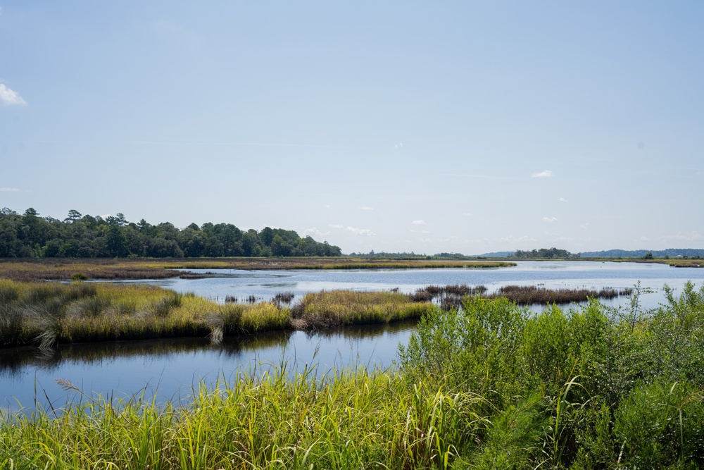 MCAS Beaufort protects Gregorie Neck land