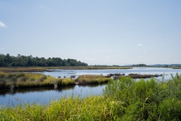 MCAS Beaufort protects Gregorie Neck land