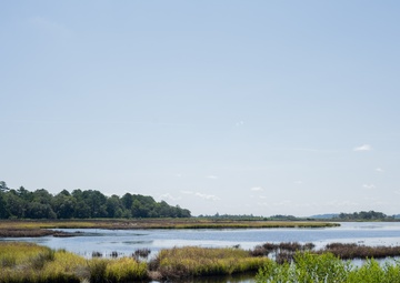 Gregorie Neck: Victory for conservation and military readiness