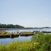 MCAS Beaufort protects Gregorie Neck land