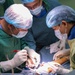Pacific Partnership 2024-2 Medical Team Works Side-By-Side with Local Medical Staff