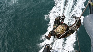 Hunger Spot for The Evergreen Restaurant