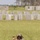 1st Battalion, 6th Marine Regiment Tactical Small Unit Leadership Course 1st Battalion, 6th Marine Regiment Tactical Small Unit Leadership Course