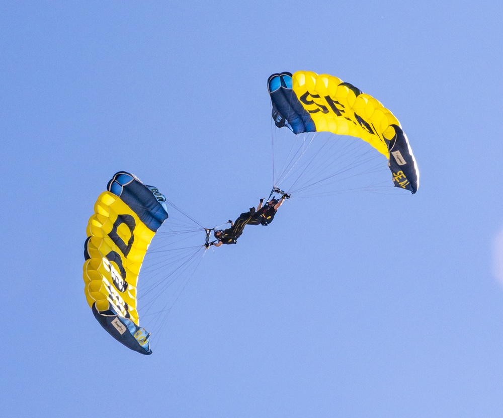 Navy Parachute Team Jumps into Pacific Airshow Gold Coast Australia 2024