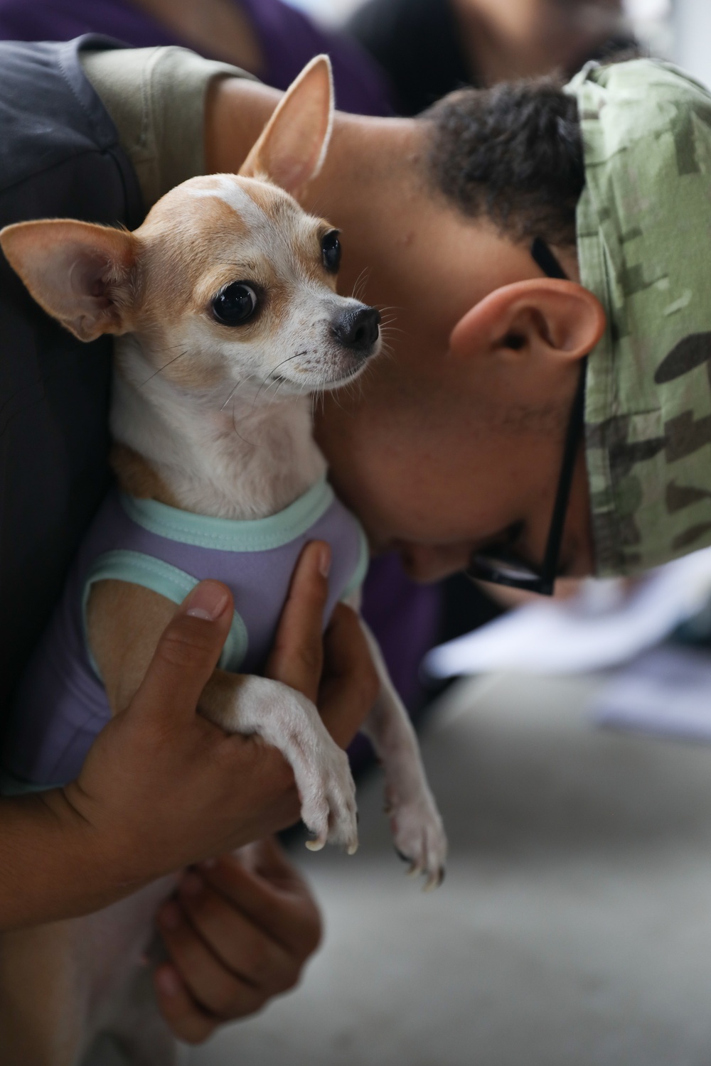 Joint Veterinary Event in Colón