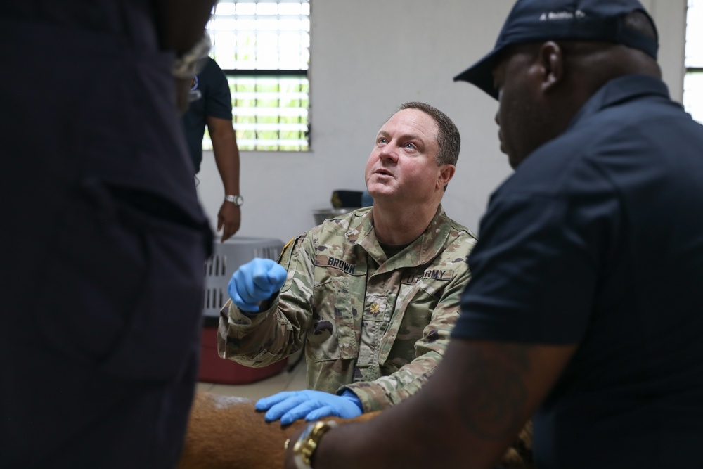 Joint Veterinary Event in Colón