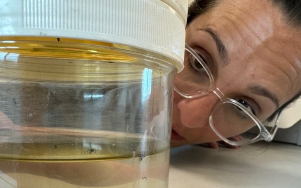 August 20 was World Mosquito Day...yes, you read that right!