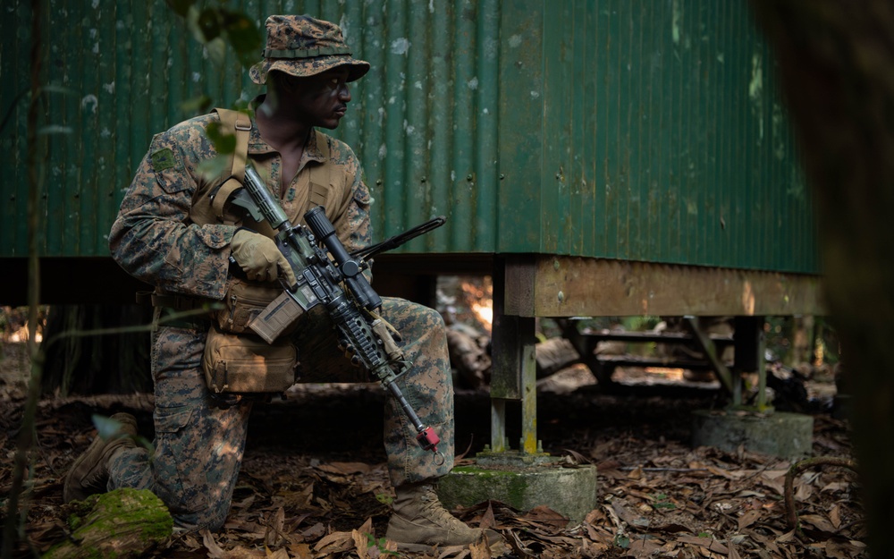 MRF-D 24.3: Golf Co., 2nd Bn., 5th Marines (Rein.), ADF participates in joint training exercise in Tully