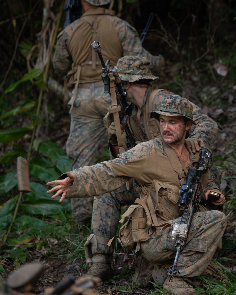 MRF-D 24.3: Golf Co., 2nd Bn., 5th Marines (Rein.), ADF participates in joint training exercise in Tully