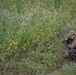 MRF-D 24.3: Golf Co., 2nd Bn., 5th Marines (Rein.), ADF participates in joint training exercise in Tully