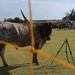 Herding Up the Memories: Altus AFB’s 26th Annual Cattle Drive