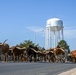 Herding Up the Memories: Altus AFB’s 26th Annual Cattle Drive