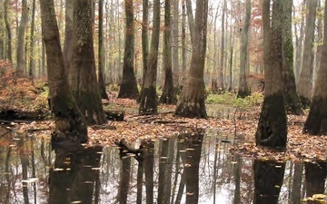 USACE Chief of Engineers signs Chief’s Report recommending vital Memphis District ecosystem restoration study to Congress