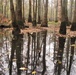 USACE Chief of Engineers signs Chief’s Report recommending vital Memphis District ecosystem restoration study to Congress