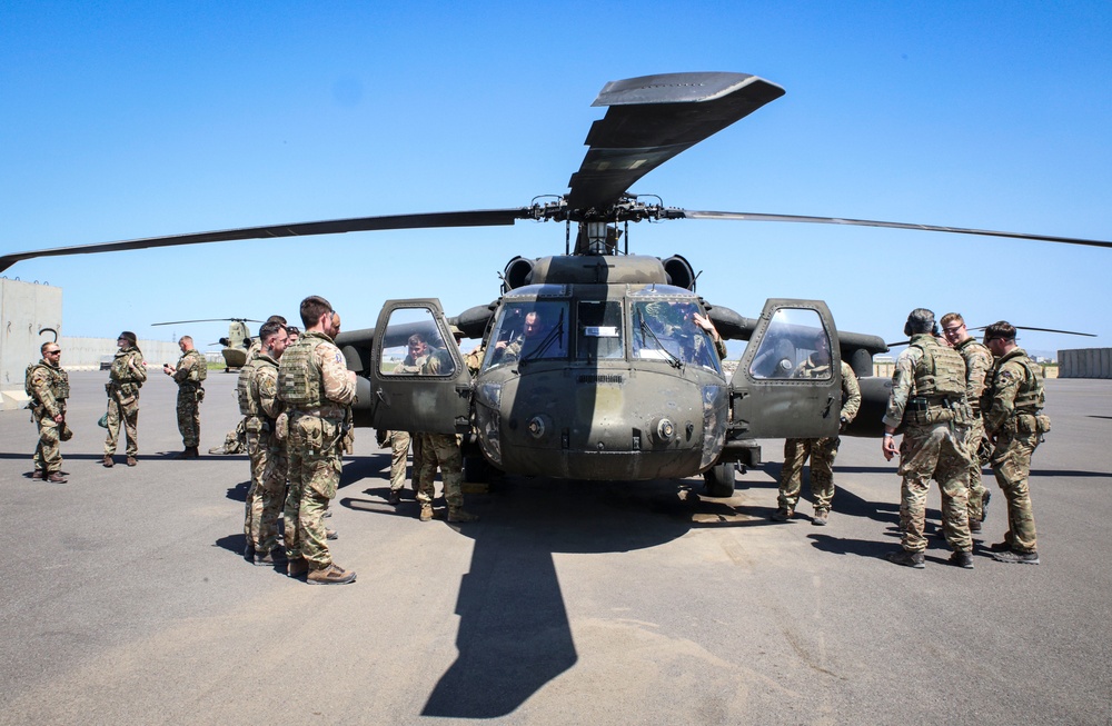 82CAB training with British
