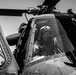 82CAB training with British
