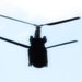 CH-47 Chinook helicopters play big part in supporting 86th Training Division’s CSTX 86-24-02