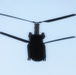 CH-47 Chinook helicopters play big part in supporting 86th Training Division’s CSTX 86-24-02