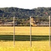 CH-47 Chinook helicopters play big part in supporting 86th Training Division’s CSTX 86-24-02