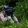 3rd Battalion, 6th Marine Regiment Field Exercise