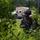 3rd Battalion, 6th Marine Regiment Field Exercise