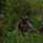 3rd Battalion, 6th Marine Regiment Field Exercise