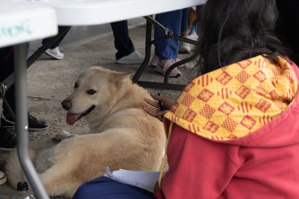 Continuing Promise 2024 personnel provide veterinary assistance at join event in Colón, Panama