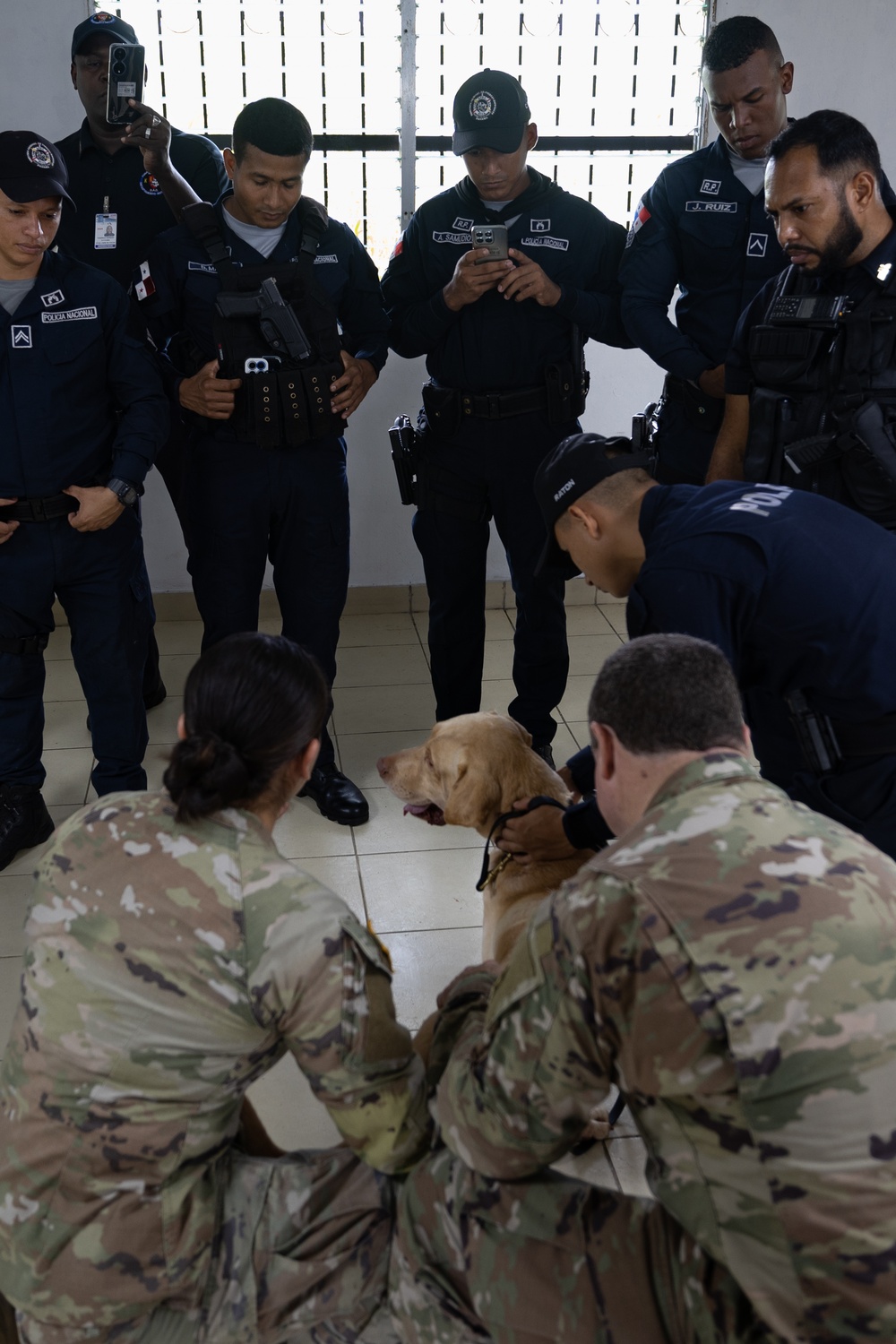 Continuing Promise 2024 personnel provide veterinary assistance at join event in Colón, Panama