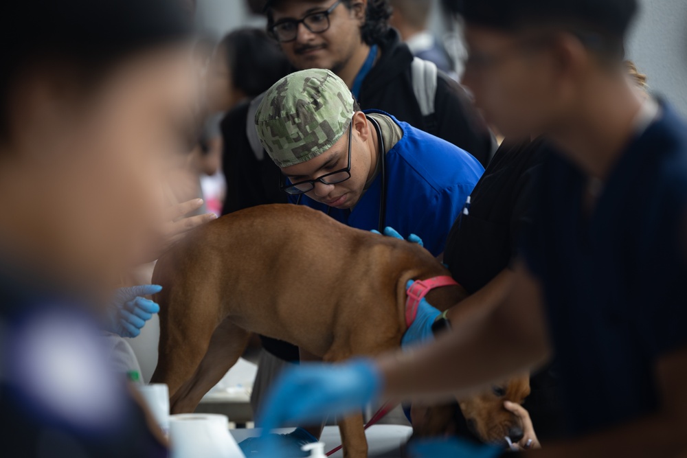 Continuing Promise 2024 personnel provide veterinary assistance at join event in Colón, Panama