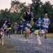 Marine Corps Base Quantico Hosts the 2024 Quantico 12k