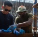 DPAA Conducts Recovery Mission on Guadalcanal