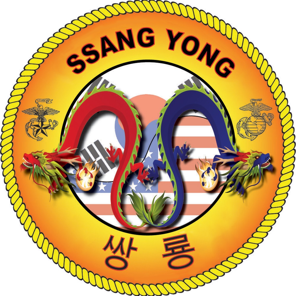 Exercise Ssang Yong Insignia Graphic