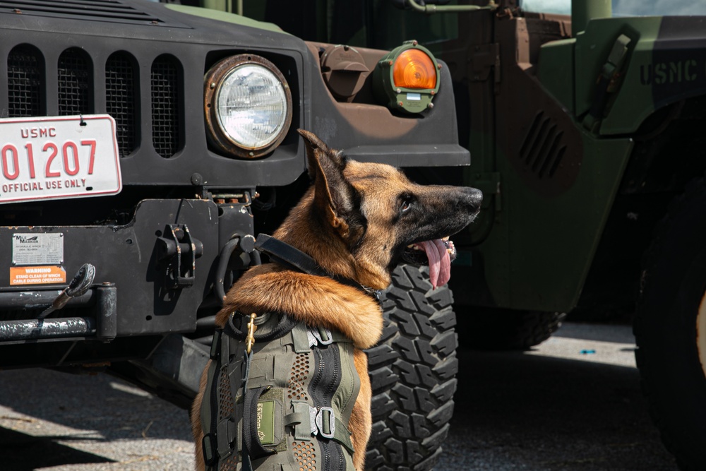 K-9 Training on Camp Kinser