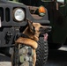 K-9 Training on Camp Kinser