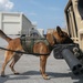 K-9 Training on Camp Kinser