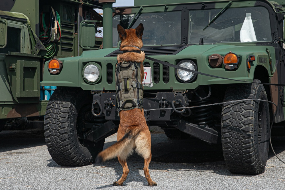 K-9 Training on Camp Kinser