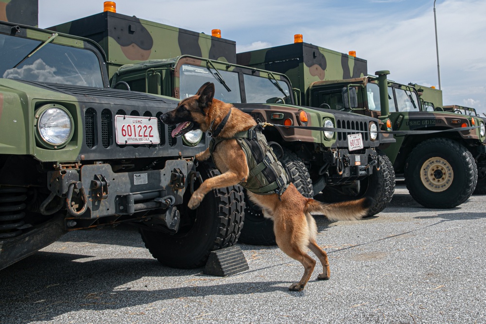 K-9 Training on Camp Kinser