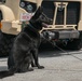 K-9 Training on Camp Kinser
