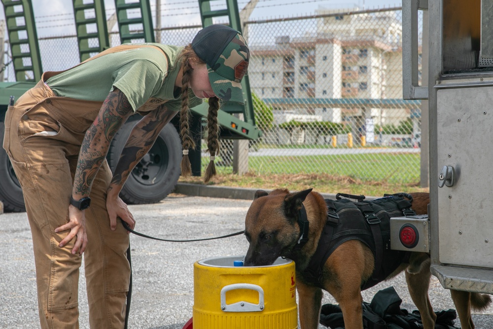 K-9 Training on Camp Kinser